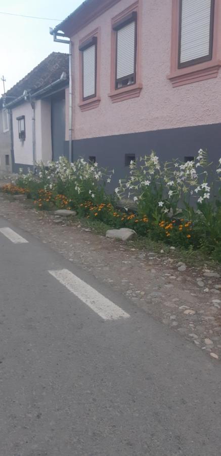 Casa Maior Villa Sacel  Екстериор снимка