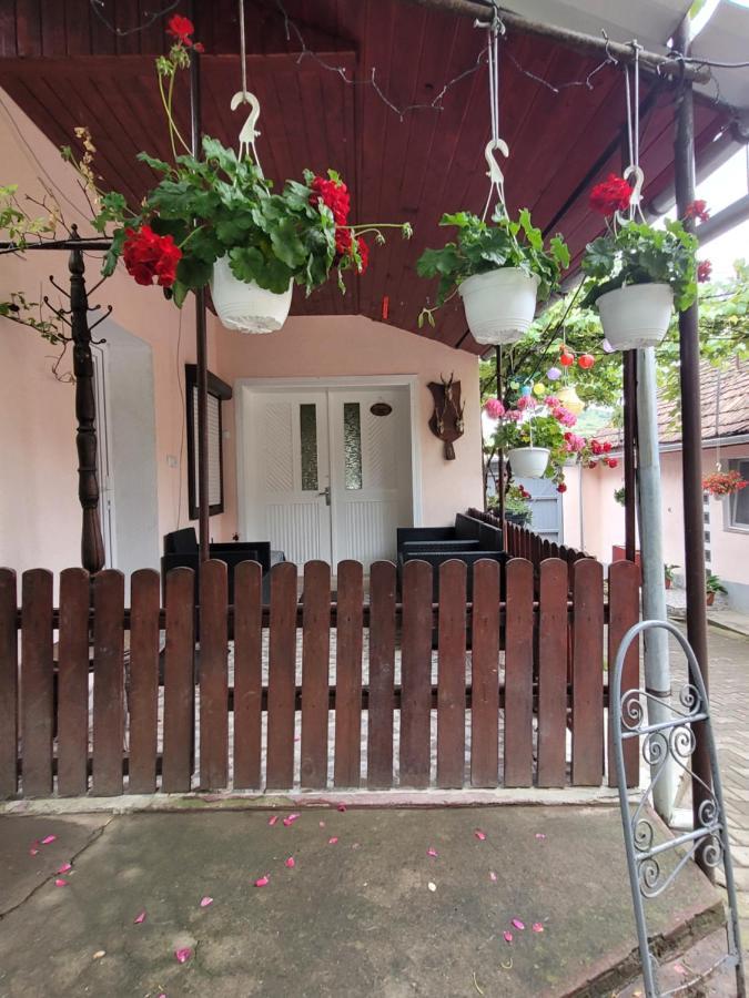 Casa Maior Villa Sacel  Екстериор снимка